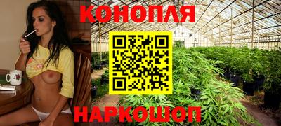 МДПВ Канаш