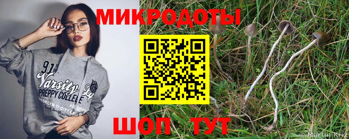 Галлюциногенные грибы мухоморы Краснодар