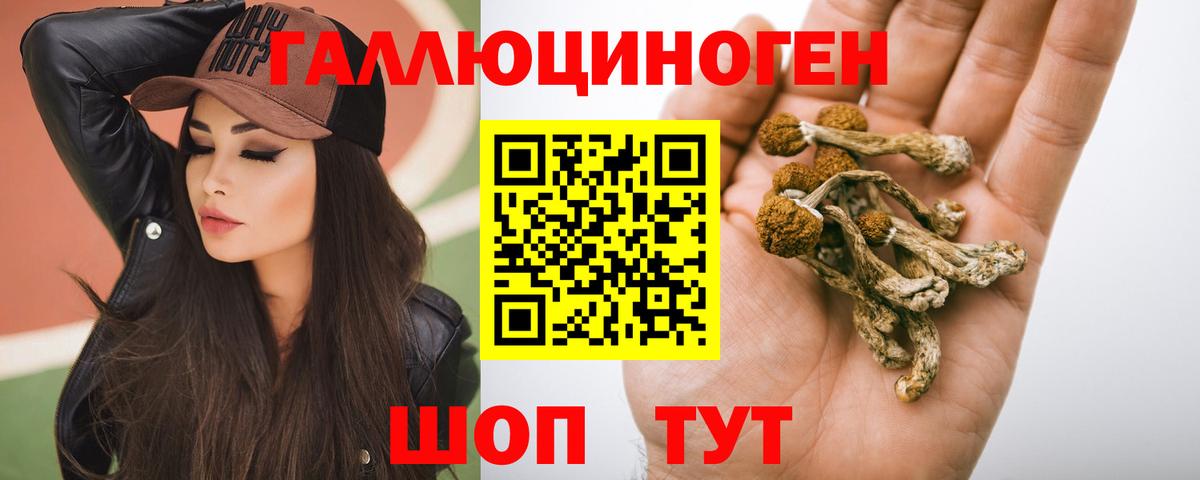 купить наркоту  Вход с VPN  Краснодар  Галлюциногенные грибы Psilocybine cubensis 